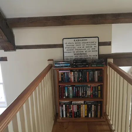 Clashganny Mill Dom wakacyjny Borris